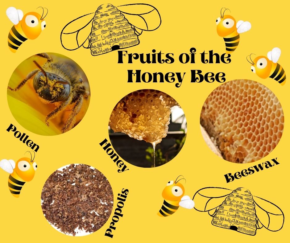 Gifts of the Honey Bee