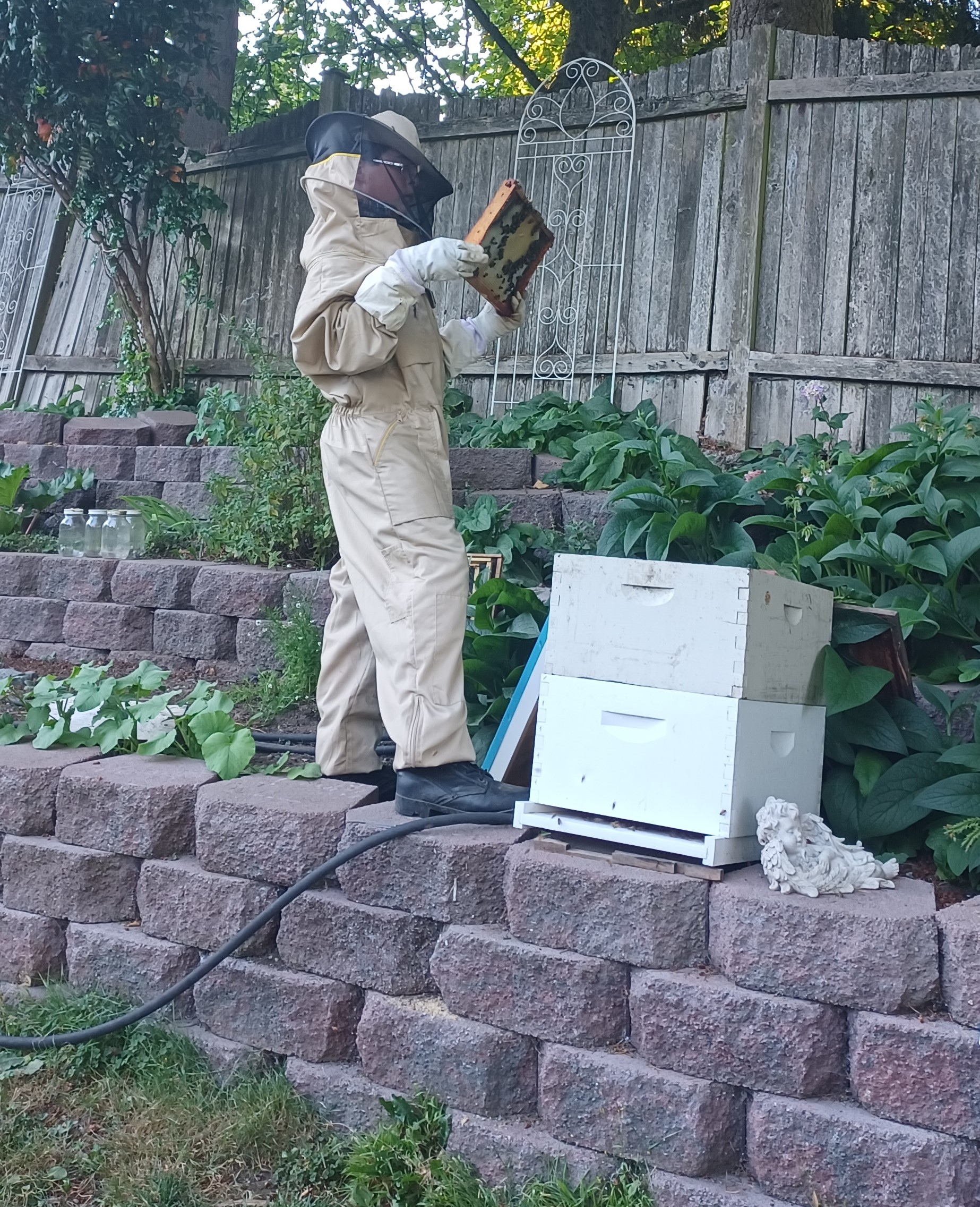 Open Apiary Hive Observation - Open to the Public