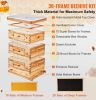 Langstroth 30 frame Bee Hive Starter Kit