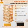 Langstroth 40 Frame Bee Hives Starter Kit