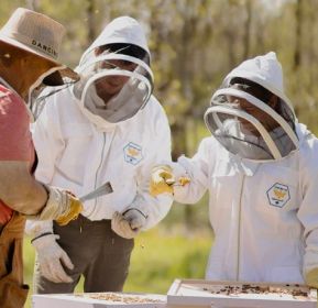 Beekeeping Half Steward Jacket