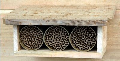 Cedar Shelter Kit with (3) Standard Mason Bee Houses (Included)