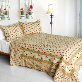 Astral- Cotton 3PC Vermicelli-Quilted Printed Full/Queen Quilt Set